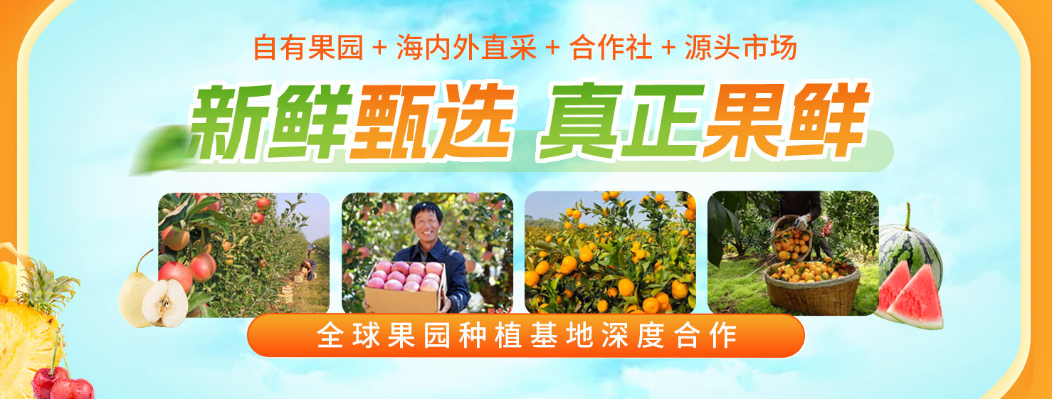 轮播图
