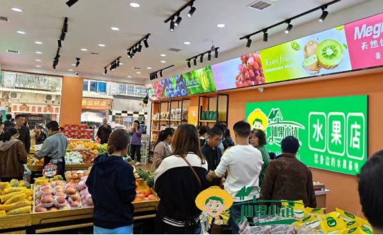 投资仙果小镇创业好不好?值得成为做生意的第一桶金吗?